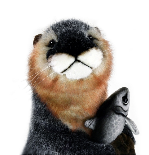 Fischotter aufwartend 37 cm